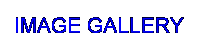 Image Gallery